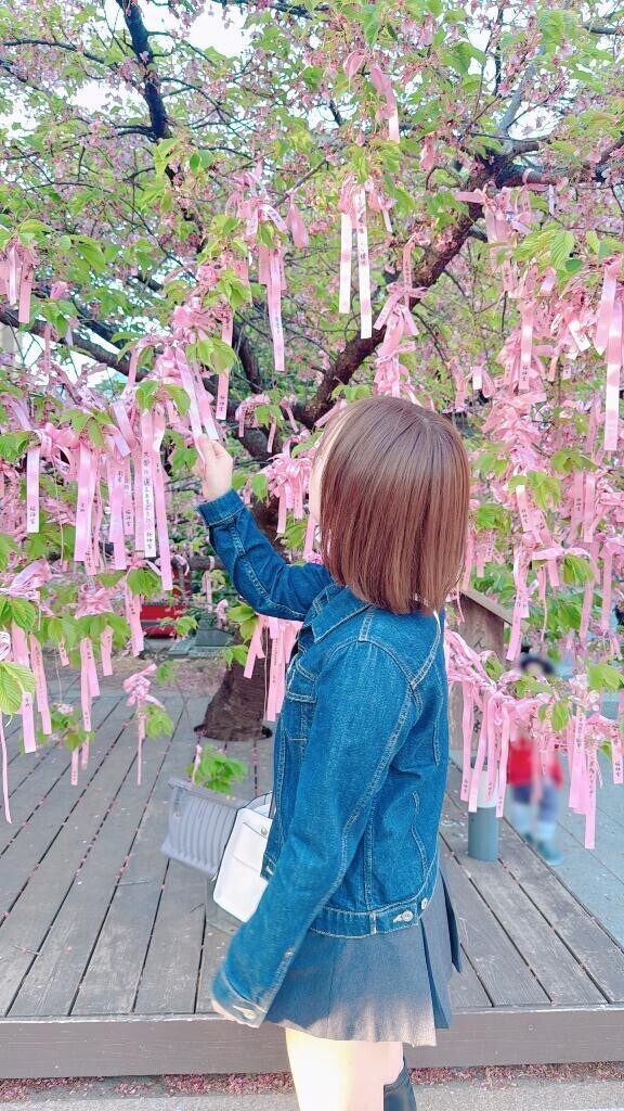‎🤍お花見（？）