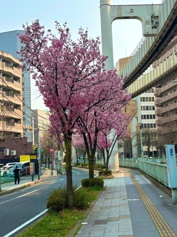 春です