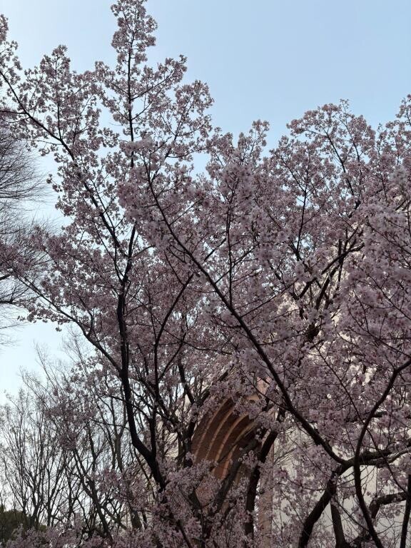 ありがとう🤍