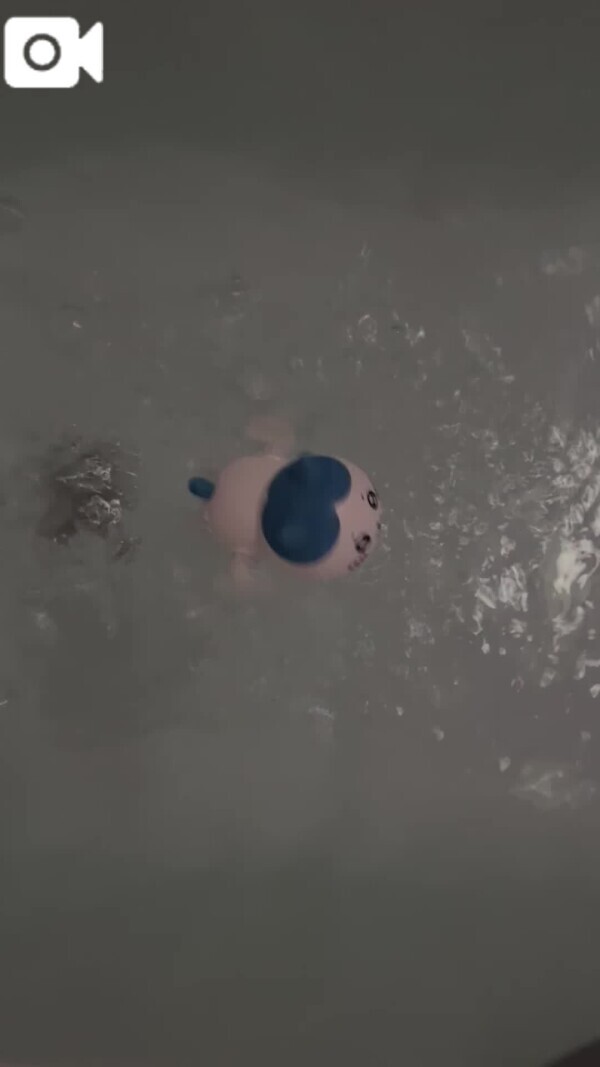 🤍カニサラミ🎶🦀✨🤍