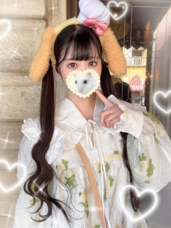 💛いるにゃん💛