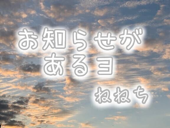 切実なお願い