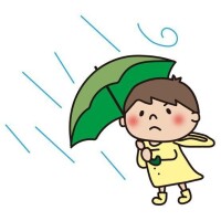みずき