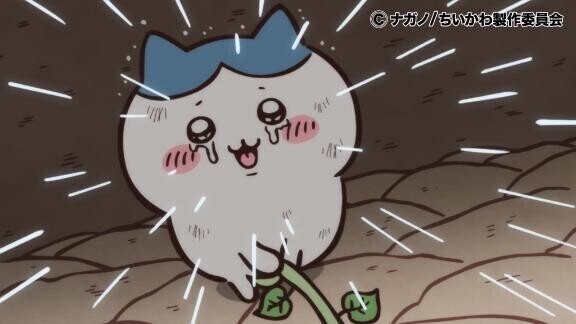 おねがい😢