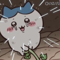 あるか