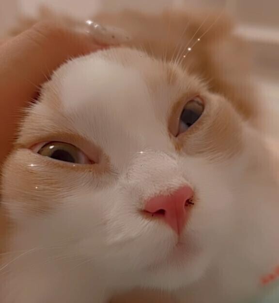 🎀退勤🌷➰🎀
