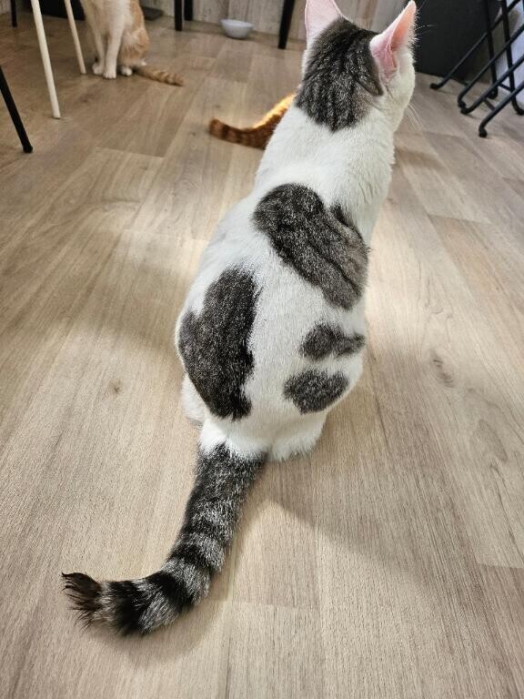 ハートいっぱい💗
