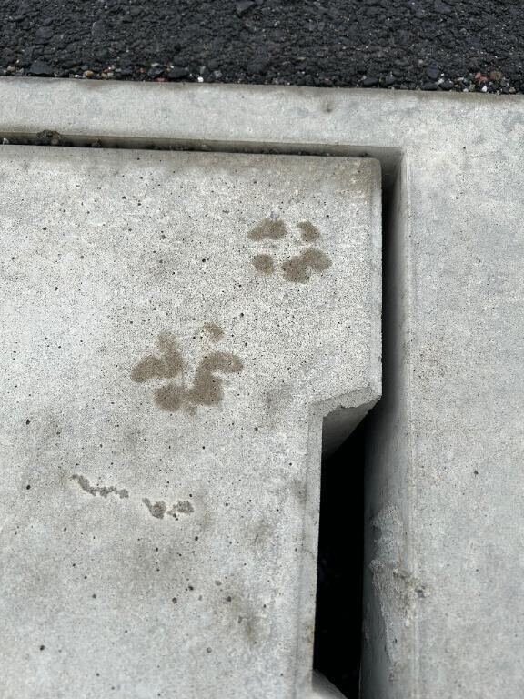 すいません