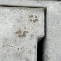 さき
