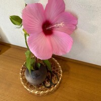 かんな