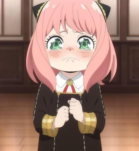 申し訳ございません🙇‍♀️