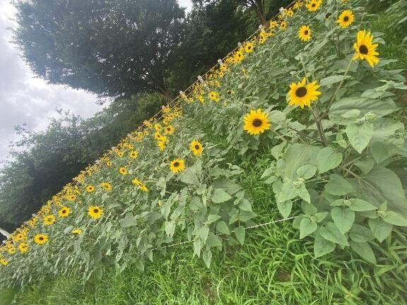 おはようございます◎