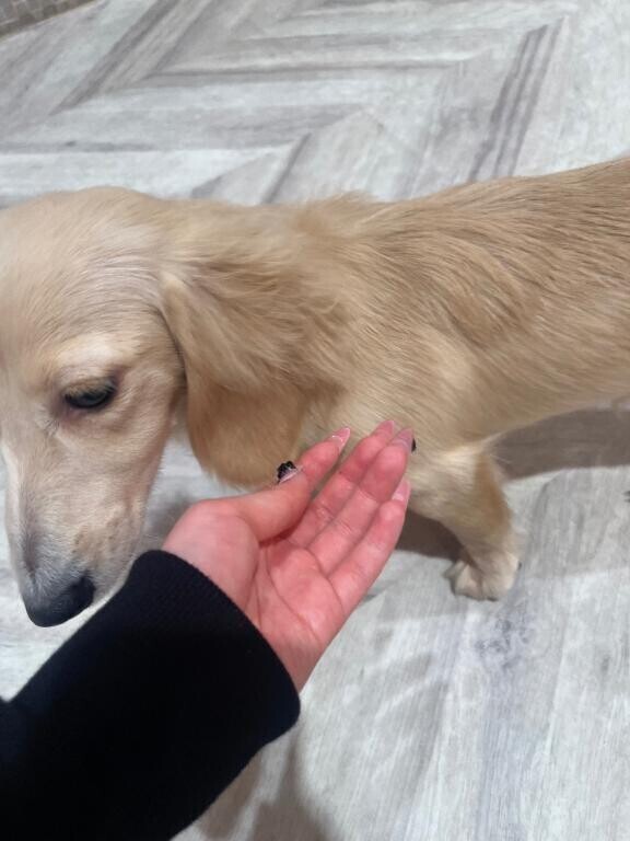 ⚠キャンセル発生