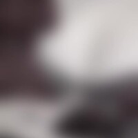 こよみ