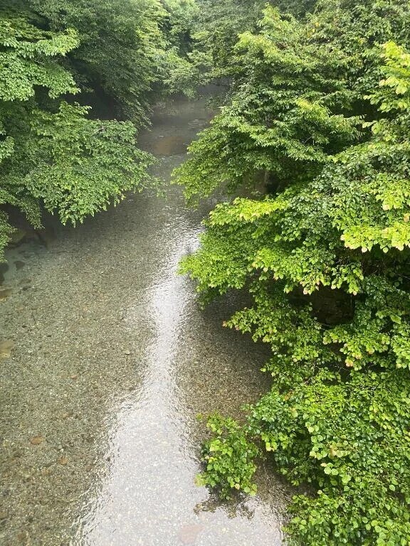 今日は6-14時◎