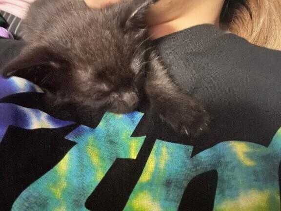 続けてありがとう😊