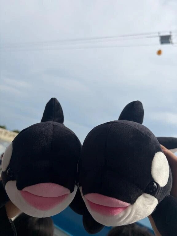 🌸本指名様day🌸