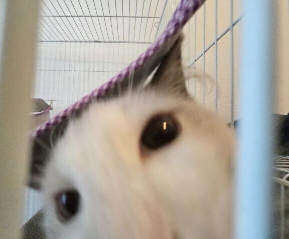 今しか味わえない