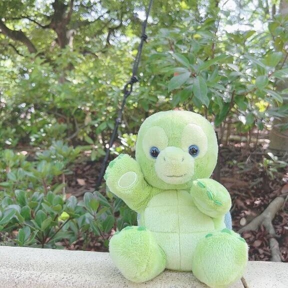 🤍ありがとう🤍