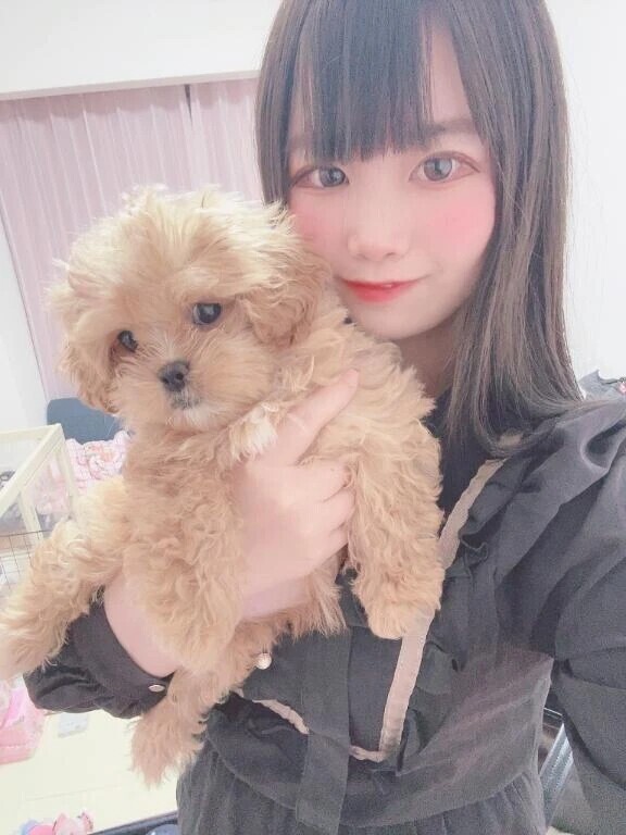 🩷明日から🩷