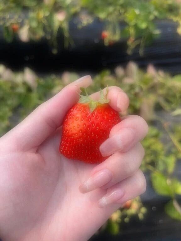 何食べたい？🍓