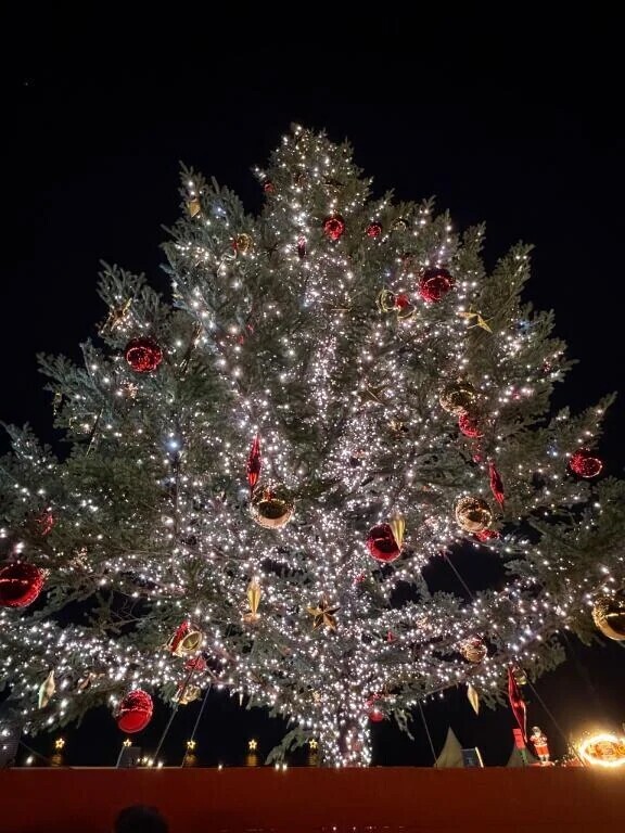 おはようございます！