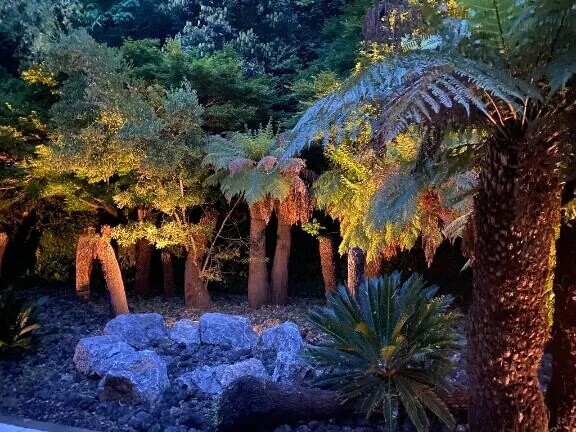 おはようございます！