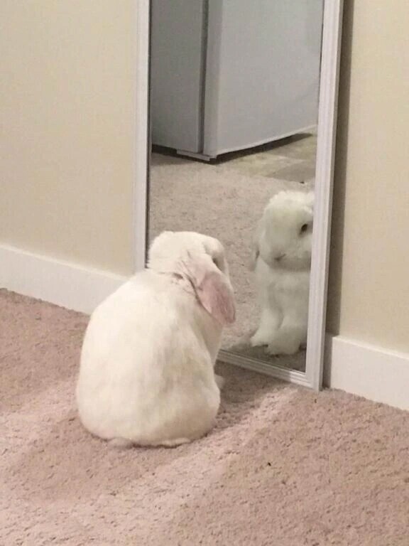 ありがとうございました💞