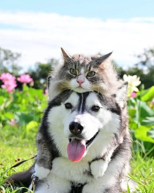 出勤しました😹