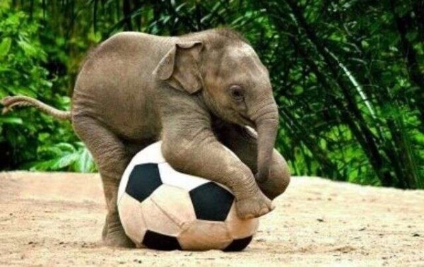 ⚽️おはようございます⚽️