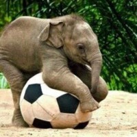 ⚽️おはようございます⚽️