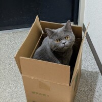 出勤です