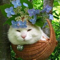 ☘️出勤しました☘️