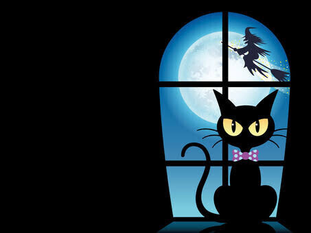 こんばんわ(*´꒳`*)