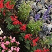 今日は！