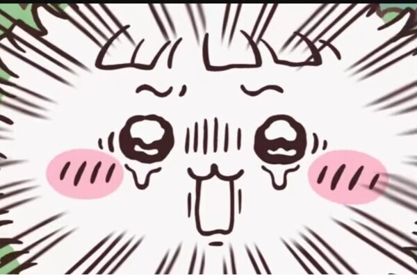 おはよう☀️