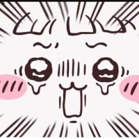 おはよう☀️