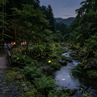ホタル✨