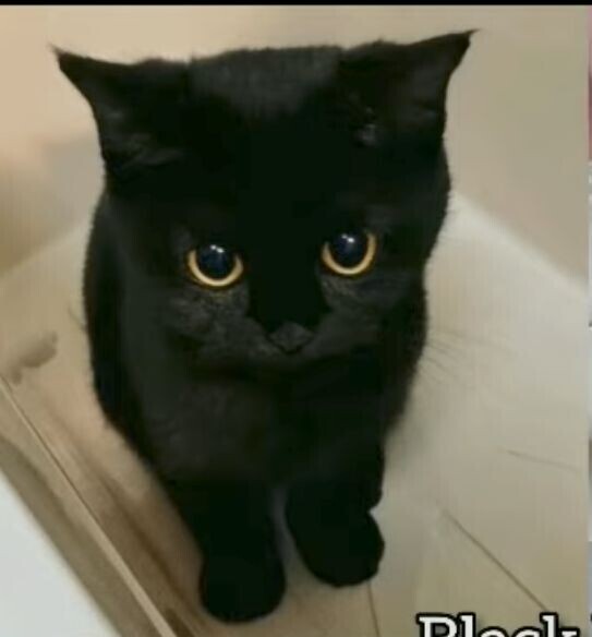 出勤しました😹
