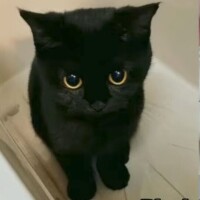 出勤しました😹