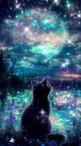 ⭐️本日もありがとうございました⭐️