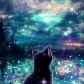 ⭐️本日もありがとうございました⭐️