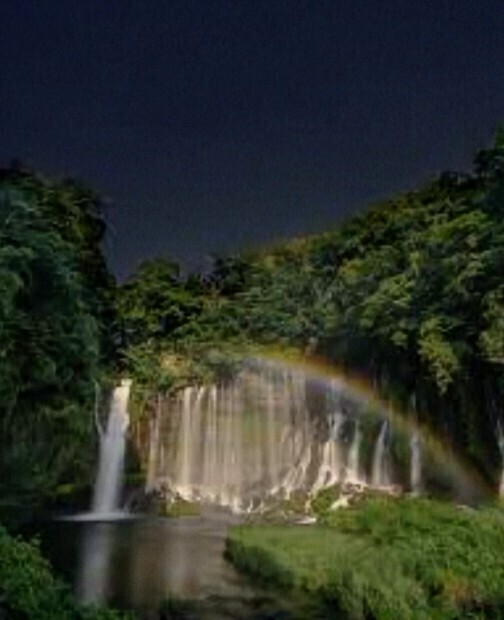 だれか知ってる？