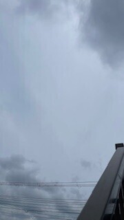 おーはよ☀️🌱