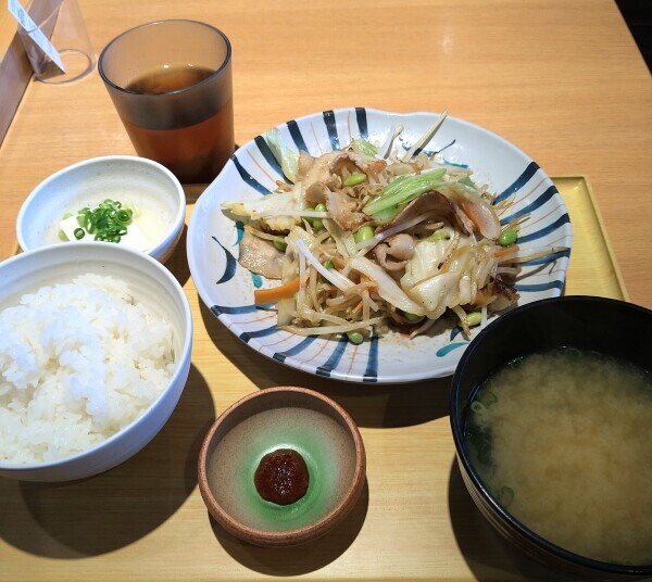 さあ頑張ろお〜ぜぇ～🎵