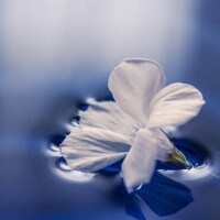 水曜日お休みさせて頂きます🥺