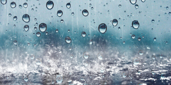 雨だ…