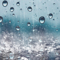雨だ…