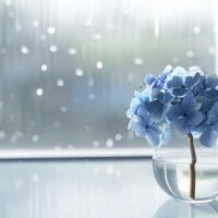 今度は雷雨⛈️