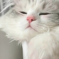 ☘️今日も1日お疲れ様です☘️